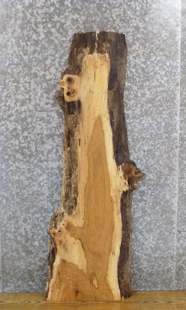 Rustic Live Edge White Oak Coffee/Side Table Top Slab 461